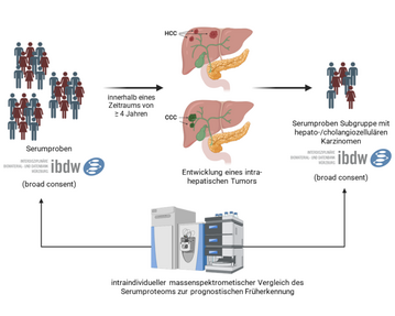 Titelbild-Ag-Geier-Hermanns